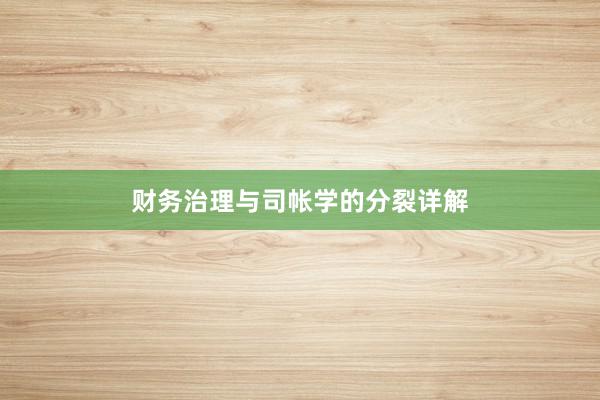 财务治理与司帐学的分裂详解